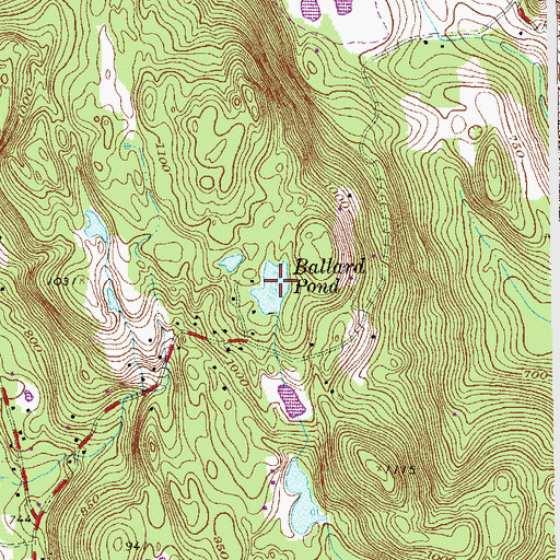 Topographic Map of Ballard Pond, NY