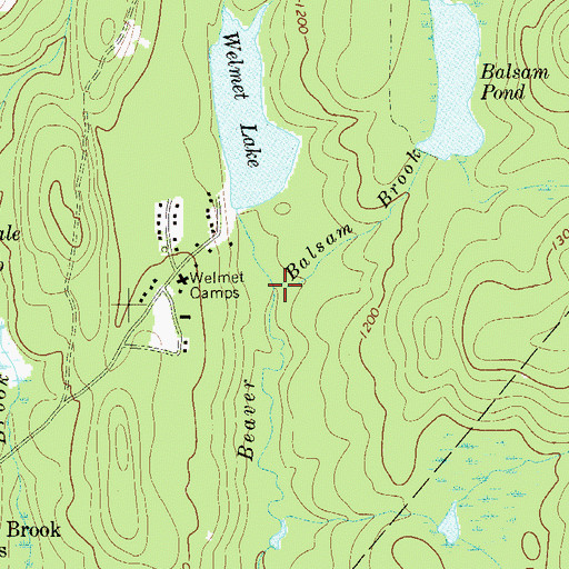Topographic Map of Balsam Brook, NY
