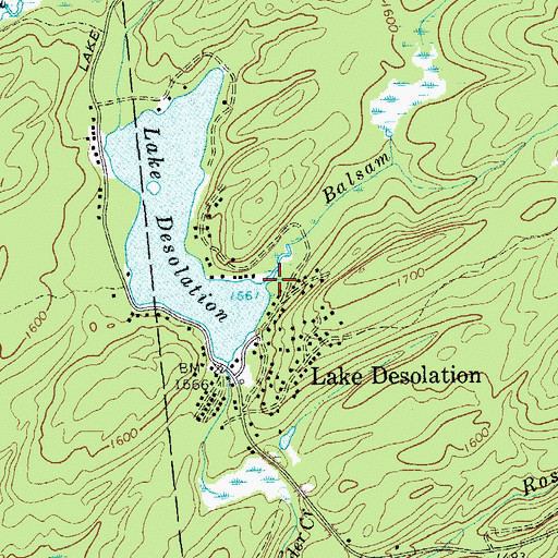 Topographic Map of Balsam Brook, NY