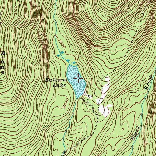 Topographic Map of Balsam Lake, NY