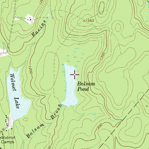 Topographic Map of Balsam Pond, NY