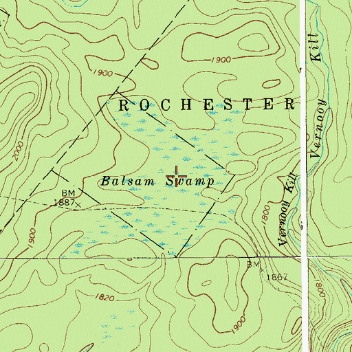 Topographic Map of Balsam Swamp, NY