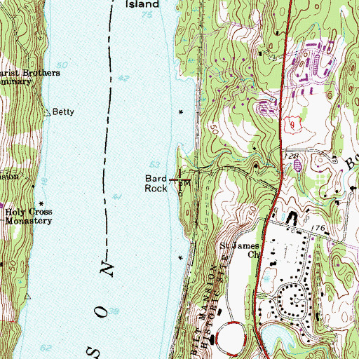 Topographic Map of Bard Rock, NY