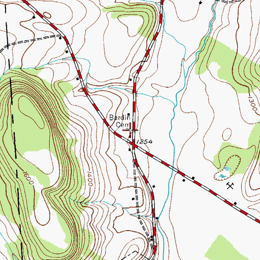 Topographic Map of Bardin Cemetery, NY