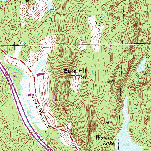 Topographic Map of Bare Hill, NY