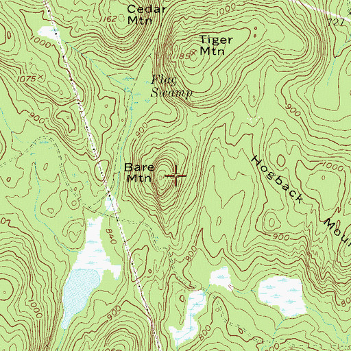 Topographic Map of Bare Mountain, NY