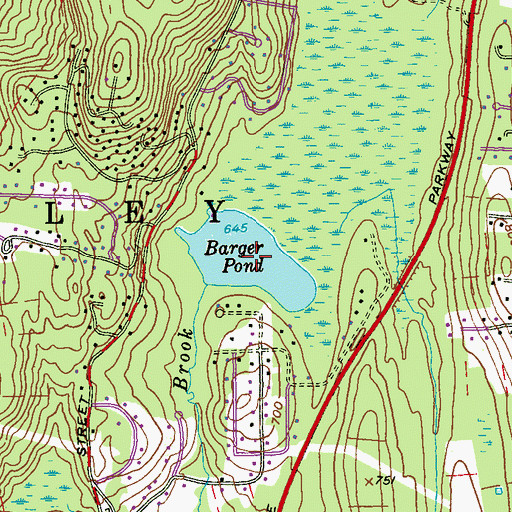 Topographic Map of Barger Pond, NY