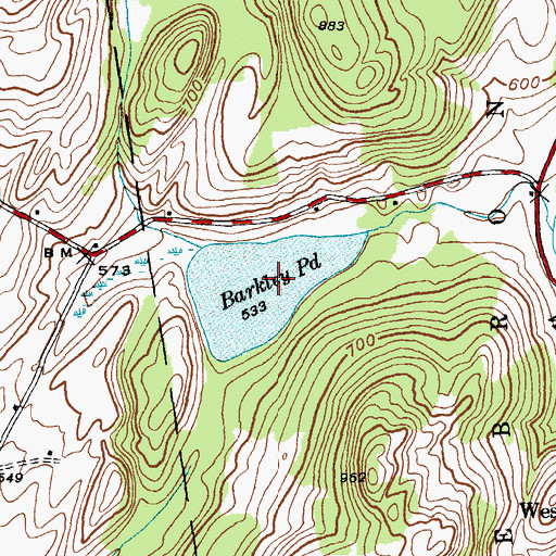 Topographic Map of Barkley Pond, NY