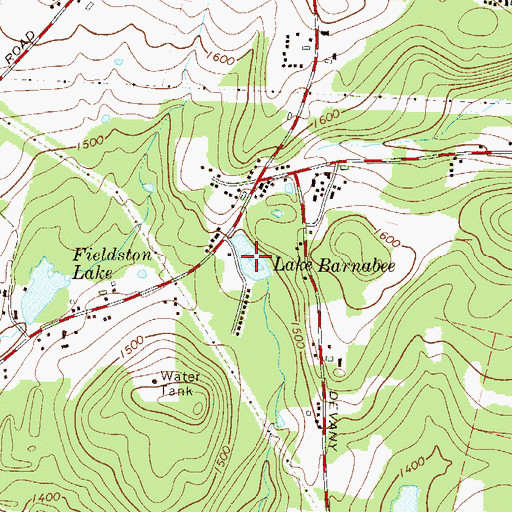 Topographic Map of Lake Barnabee, NY