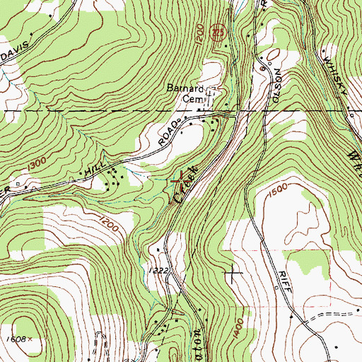 Topographic Map of Barnard Creek, NY