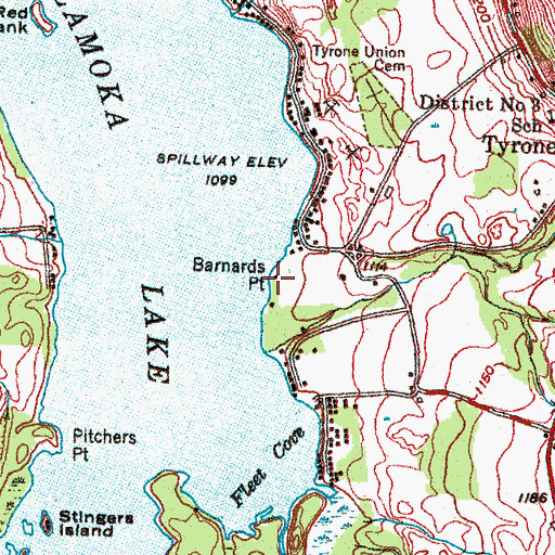 Topographic Map of Barnards Point, NY