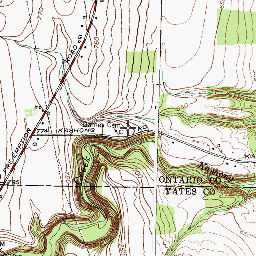 Topographic Map of Barnes Cemetery, NY