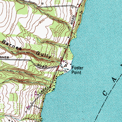 Topographic Map of Barnes Gully, NY