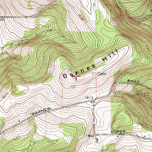 Topographic Map of Barnes Hill, NY