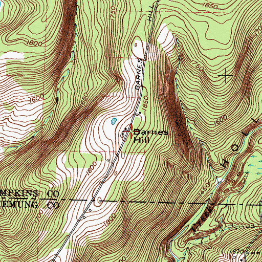 Topographic Map of Barnes Hill, NY