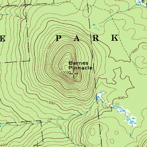 Topographic Map of Barnes Pinnacle, NY