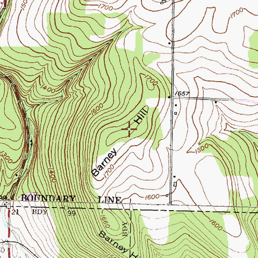 Topographic Map of Barney Hill, NY