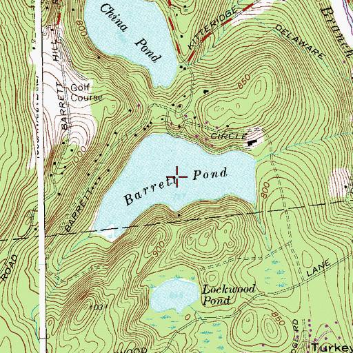 Topographic Map of Barrett Pond, NY