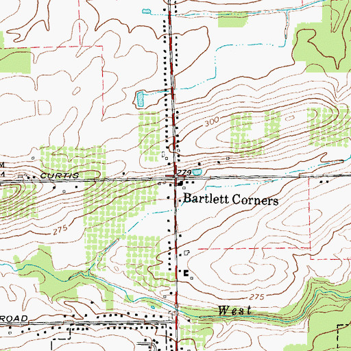 Topographic Map of Bartlett Corners, NY