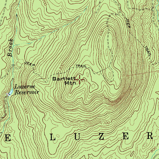 Topographic Map of Bartlett Mountain, NY