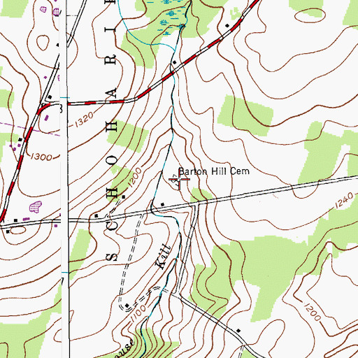 Topographic Map of Barton Hill Cemetery, NY