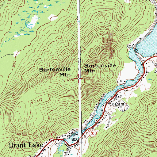 Topographic Map of Bartonville Mountain, NY