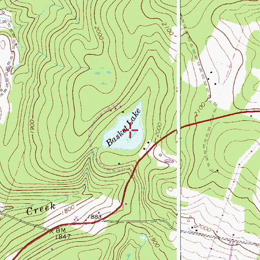 Topographic Map of Basket Lake, NY