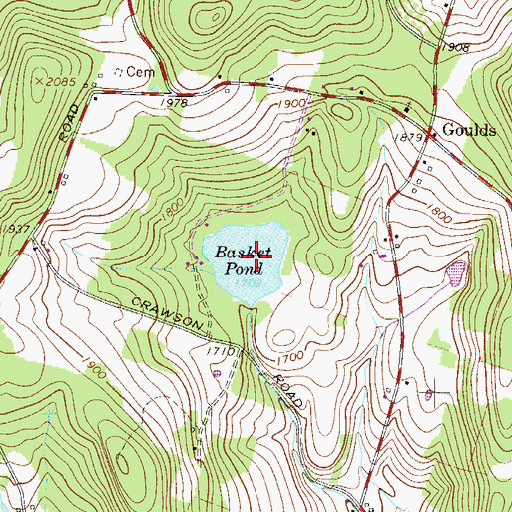 Topographic Map of Basket Pond, NY