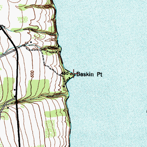 Topographic Map of Baskin Point, NY