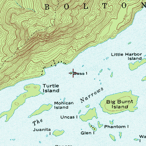 Topographic Map of Bass Island, NY