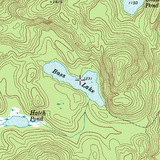 Topographic Map of Bass Lake, NY