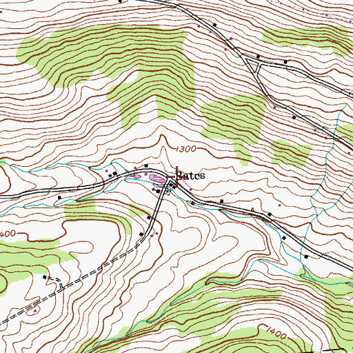 Topographic Map of Bates, NY