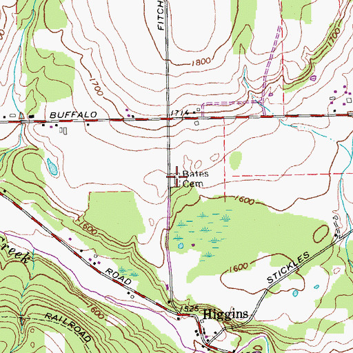 Topographic Map of Bates Cemetery, NY