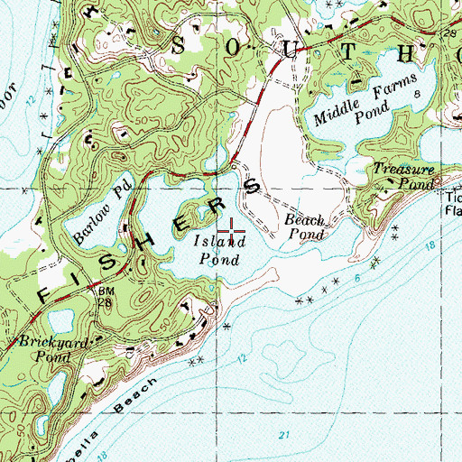 Topographic Map of Beach Pond, NY