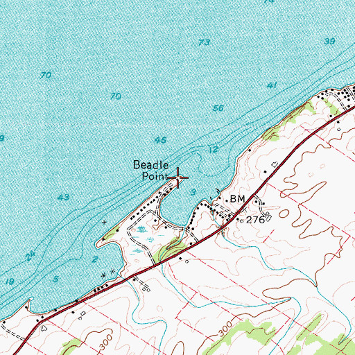 Topographic Map of Beadle Point, NY