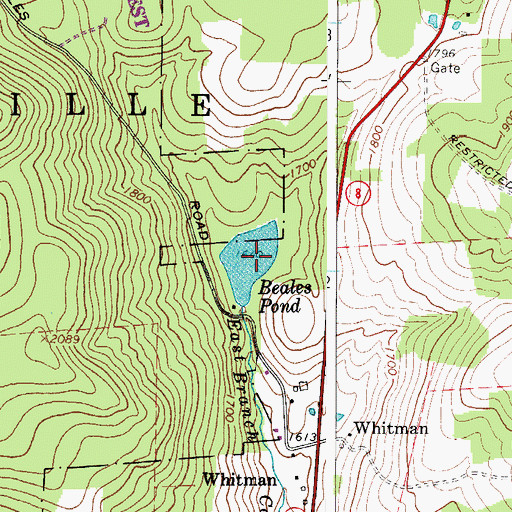Topographic Map of Beales Pond, NY