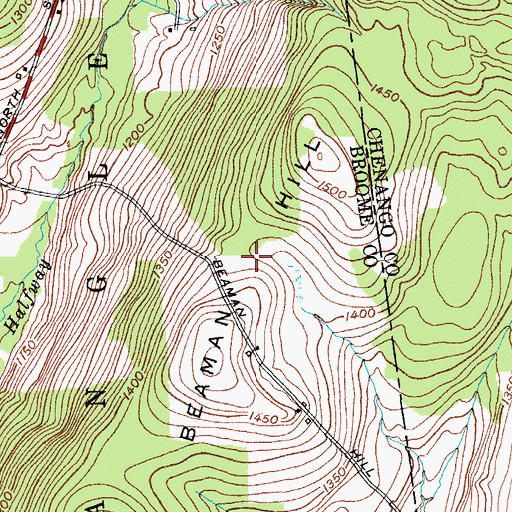 Topographic Map of Beaman Hill, NY