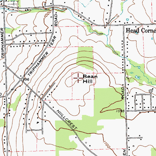 Topographic Map of Bean Hill, NY
