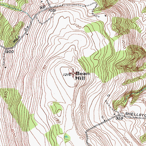 Topographic Map of Bean Hill, NY
