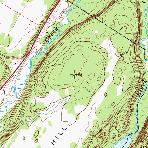 Topographic Map of Bean Hill, NY