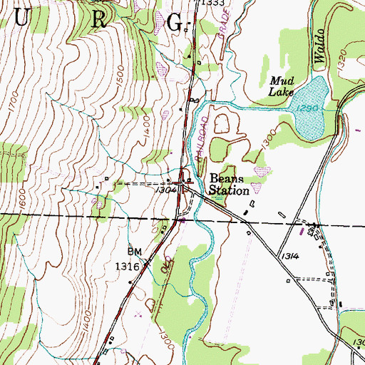 Topographic Map of Beans Station, NY