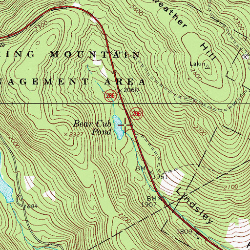 Topographic Map of Bear Cub Pond, NY