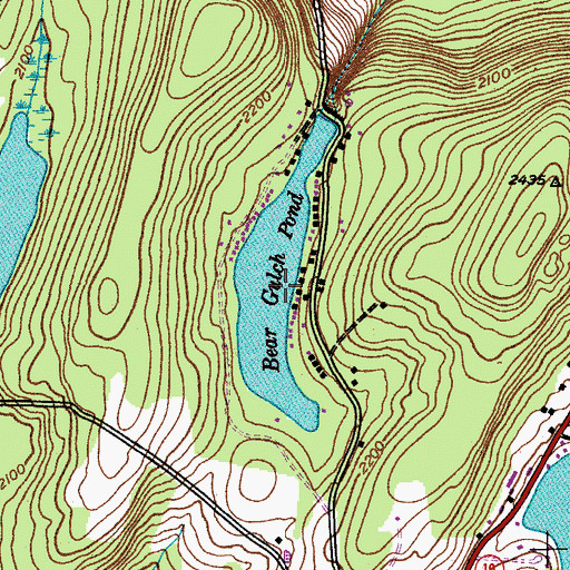 Topographic Map of Bear Gulch Pond, NY