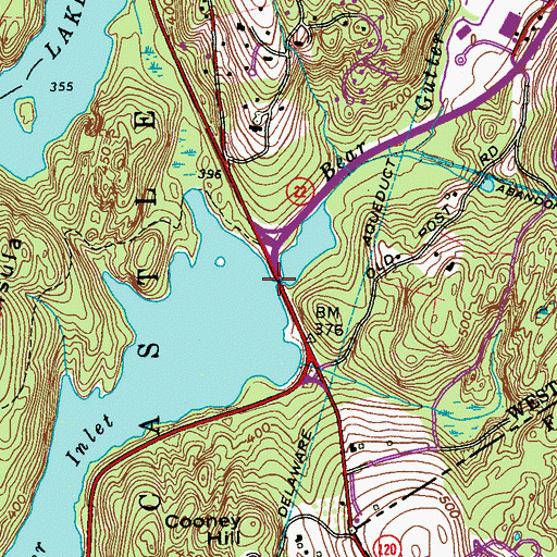 Topographic Map of Bear Gutter Creek, NY