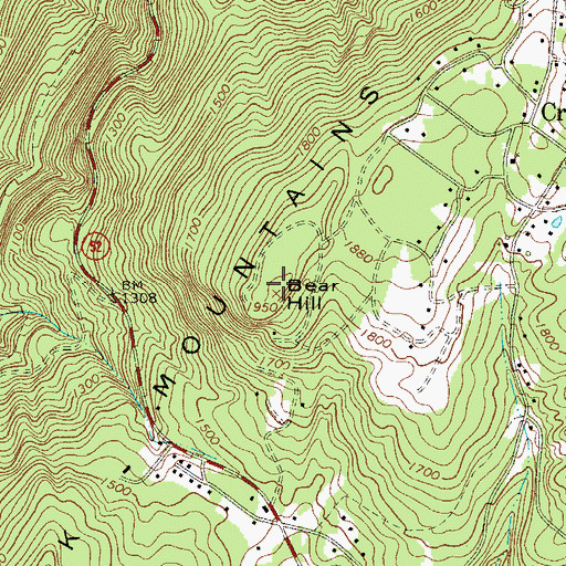 Topographic Map of Bear Hill, NY