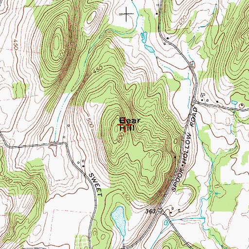 Topographic Map of Bear Hill, NY