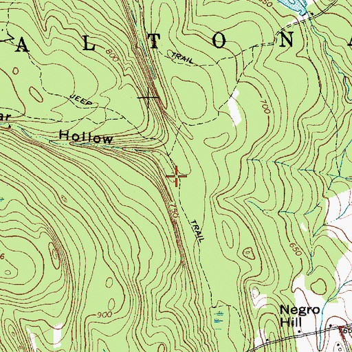 Topographic Map of Bear Hollow, NY