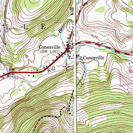 Topographic Map of Bear Kill, NY