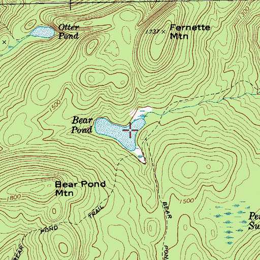 Topographic Map of Bear Pond, NY