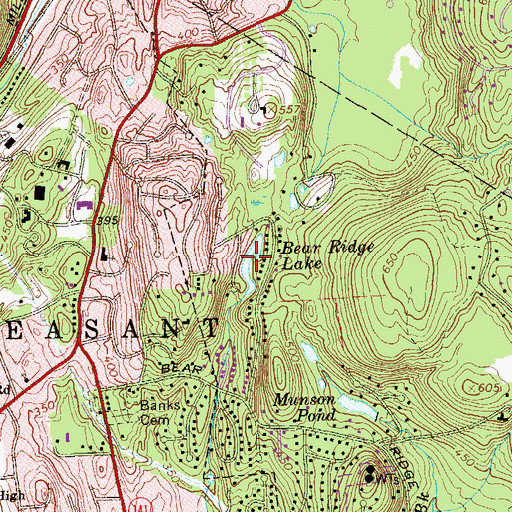 Topographic Map of Bear Ridge Lake, NY